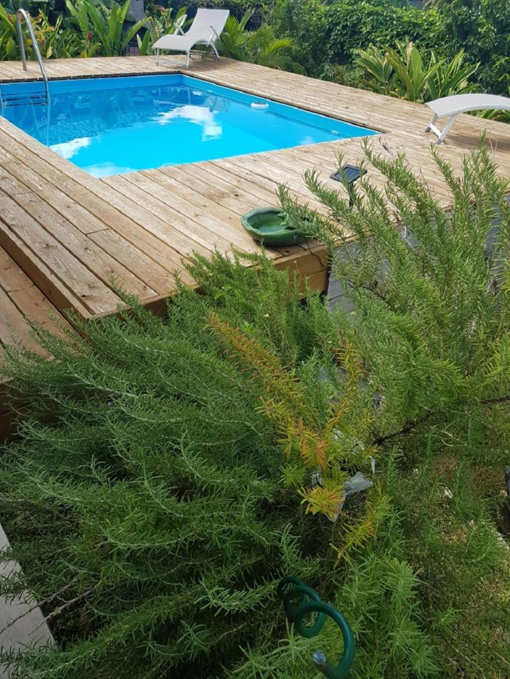 Studio Avec Piscine, A 3 Minutes A Pied Des Plages Sainte-Anne  Exterior foto