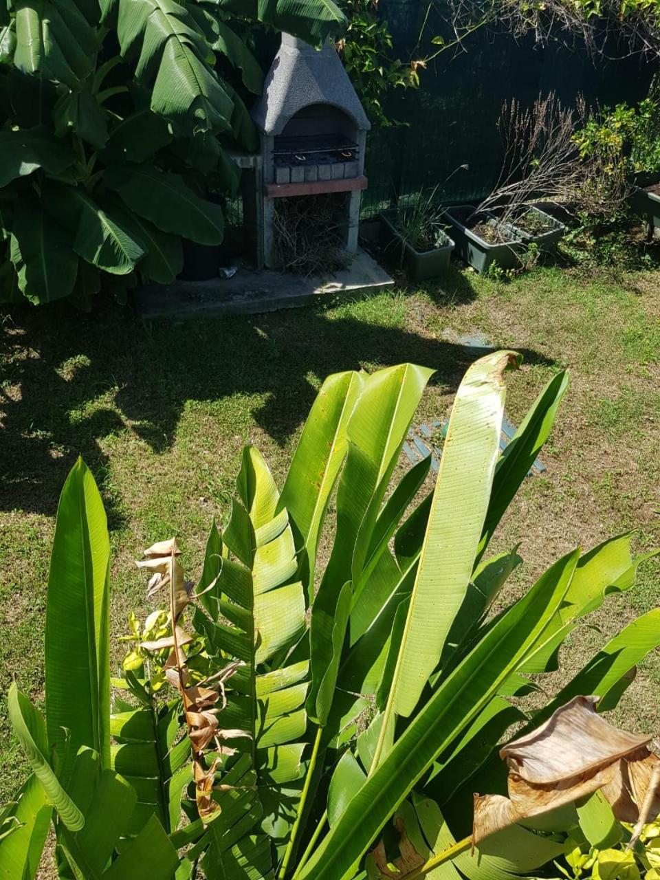 Studio Avec Piscine, A 3 Minutes A Pied Des Plages Sainte-Anne  Exterior foto